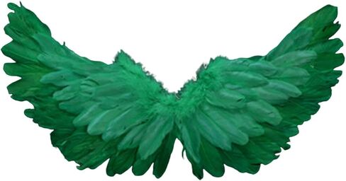 Fairy Wings Angel Feather Wings with Elastic Straps Costume Cosplay Photography Props Halloween Supplies in Kuwait