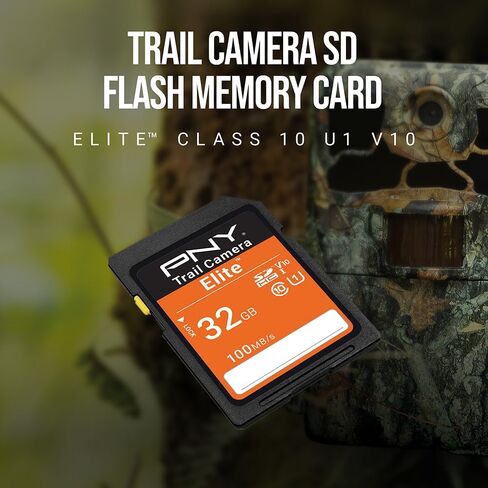 PNY 32GB Elite U1 V10 SDHC Trail Camera Flash Memory Card 3-Pack, UHS-I in Kuwait