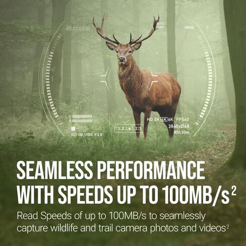 PNY 32GB Elite U1 V10 SDHC Trail Camera Flash Memory Card 3-Pack, UHS-I in Kuwait