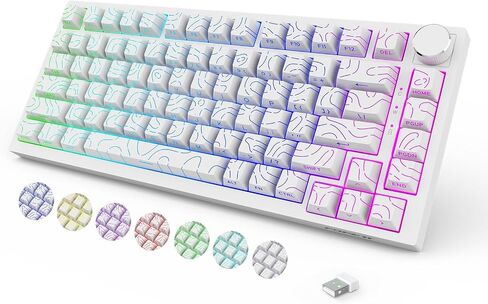 Wireless Mechanical Backlit Gaming Keyboard with Knob,Hot Swappable,White in Kuwait