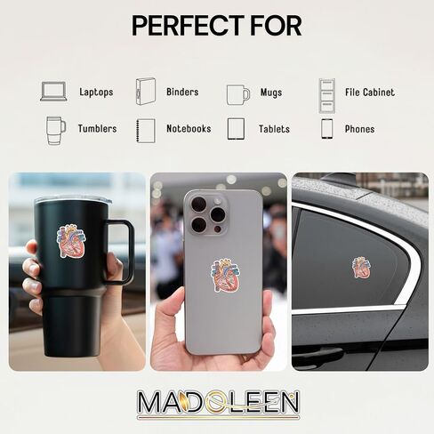 (5pcs) Anatomical Heart Sticker, Nurse Stickers, Heart Anatomy Stickers 3 Inch, Heart Anatomy Sticker, Waterproof Vinyl Decal for Laptop, Water Bottles, Phone, Car in Saudi Arabia