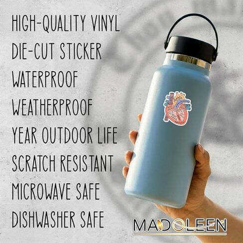 (5pcs) Anatomical Heart Sticker, Nurse Stickers, Heart Anatomy Stickers 3 Inch, Heart Anatomy Sticker, Waterproof Vinyl Decal for Laptop, Water Bottles, Phone, Car in Saudi Arabia