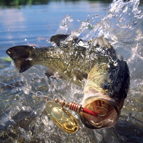 12 Pcs Plain Fishing Lures, Inline Spinner Lures in Saudi Arabia