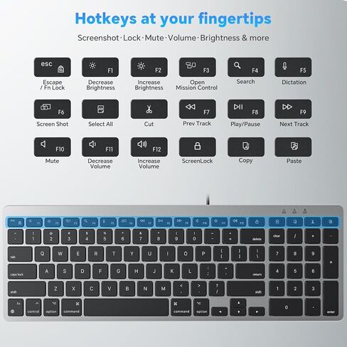 OMOTON Keyboard and Mouse for Mac, Wired USB-C & USB-A, Zero Setup, Grey in Saudi Arabia