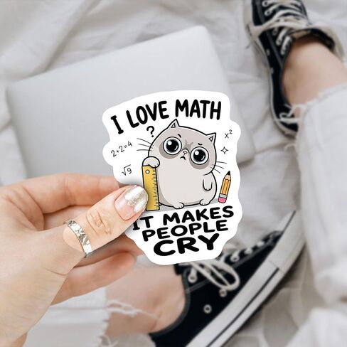 (3Inch) 4Pcs Funny Math Stickers, Math Teacher Stickers for Cat Lovers in Saudi Arabia