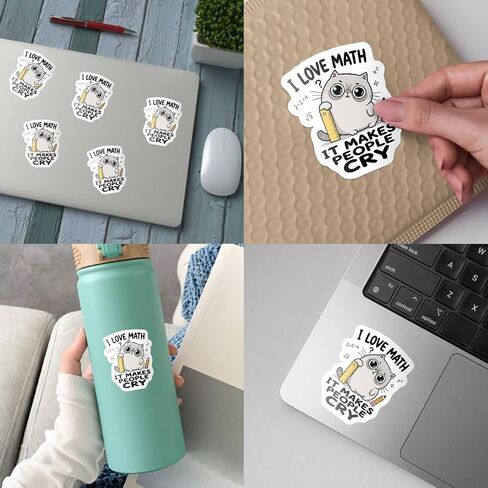 (3Inch) 4Pcs Funny Math Stickers, Math Teacher Stickers for Cat Lovers in Saudi Arabia