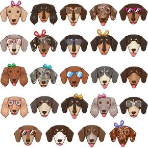 أوراق ملصقات McEtt Dachshund - 5 عبوات (120 ملصق وجه Doxie) in Kuwait
