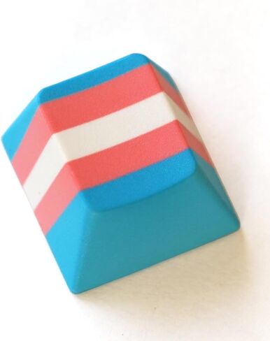 Transgender Pride Flag Single ESC Keycap – LGBTQ+, POC, Transgender Keycap for Mechanical Gaming Keyboard Cherry MX Profile, R4 Height in Saudi Arabia