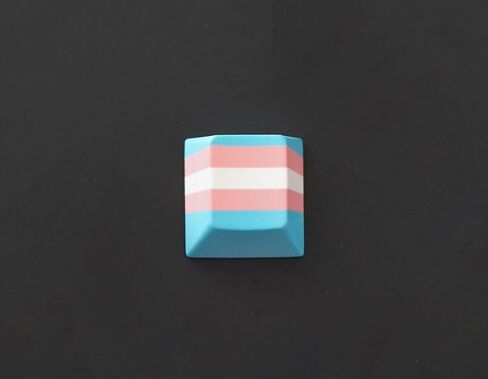 Transgender Pride Flag Single ESC Keycap – LGBTQ+, POC, Transgender Keycap for Mechanical Gaming Keyboard Cherry MX Profile, R4 Height in Saudi Arabia