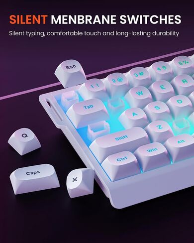 SEUNKWANG F68 Gaming Keyboard, Portable 60% Compact Mini Keyboard with 68 Round PBT Keycaps, Wired RGB Backlit Mechanical Feel Keyboard for PC Laptop Windows Gamer, White in Saudi Arabia