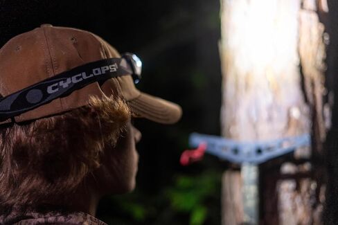 Cyclops HL500 Headlamp | Tactical Durable Lightweight Compact Adjustable Headband Weather Resistant IPX6 Bright LED 500 Lumen Head Flashlight | AAA Batteries Included in Saudi Arabia