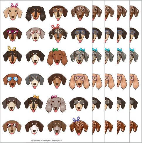 أوراق ملصقات McEtt Dachshund - 5 عبوات (120 ملصق وجه Doxie) in Kuwait