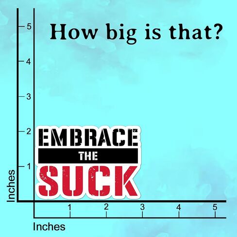 (3Pcs) Embrace The Suck Sticker Military Grade Motivation Funny Sarcastic Gym & Workout Motivational Gift for Coworkers & Athletes Decal for Laptop Tumbler Notebook Phone Case Water Bottle - 3 inch in Saudi Arabia
