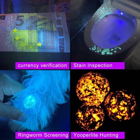 Blacklight Flashlight 365nm UV Black Light Ultra Violet Filtered LEDs for Yooperlite Hunting, Pet Urine Detection, Resins, Scorpions, Car Leaks in Saudi Arabia