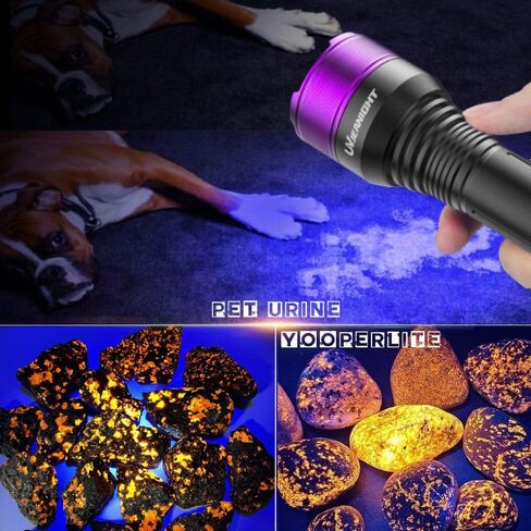 Blacklight Flashlight 365nm UV Black Light Ultra Violet Filtered LEDs for Yooperlite Hunting, Pet Urine Detection, Resins, Scorpions, Car Leaks in Saudi Arabia