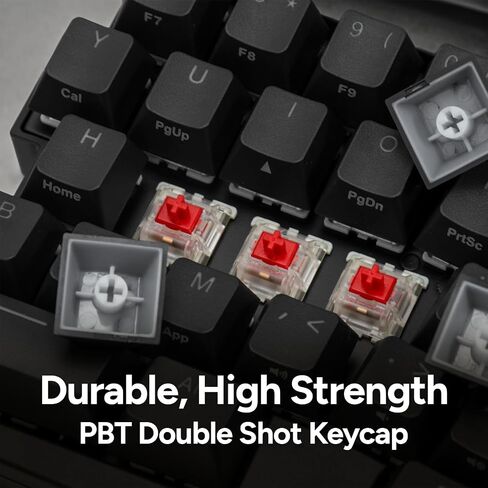 BAROCCOMiSTEL MiSTEL MD600 Alpha BT RGB, Split Keyboard, Ergonomic Mechanical Keyboard, 60%, PBT Double Shot Keycap (Transparent), Bluetooth5.0, Mac/Windows OS Compatible -Gateron G Pro Silver in Saudi Arabia