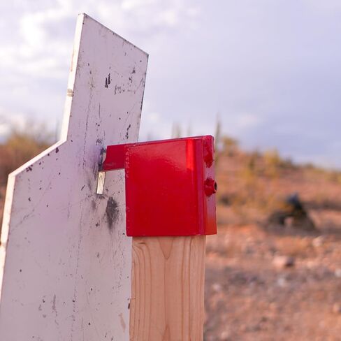 Infinity Targets Speed Bag C-Zone Steel Target Bundle – 3/8" AR500 Reactive Shooting Target System – Includes 24x12 C-Zone Plate, Swinging Speed Bag, 2x4 Base Stand & Mounts in Saudi Arabia