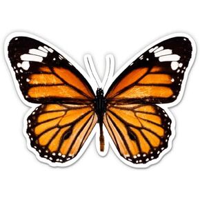 Butterfly Realistic Stickers - Pretty Orange Butterfly Decals (2-Pack) in Saudi Arabia
