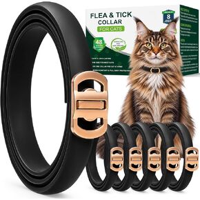 6 Packs Flea and Tick Collar for Cats in Saudi Arabia