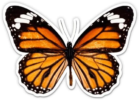 Butterfly Realistic Stickers - Pretty Orange Butterfly Decals (2-Pack) in Saudi Arabia