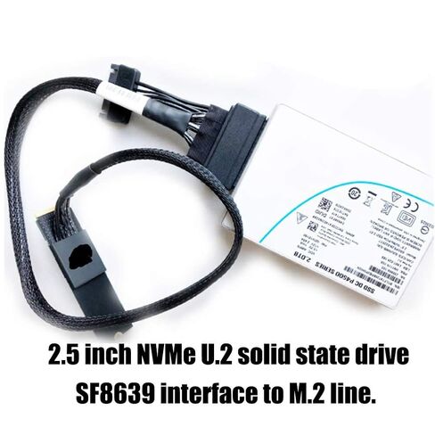 U.2 to M.2 Cable Efficient 32Gbps Speed Connection Cable for 983 750 - 19.69 Length - Workstations, Servers in Saudi Arabia
