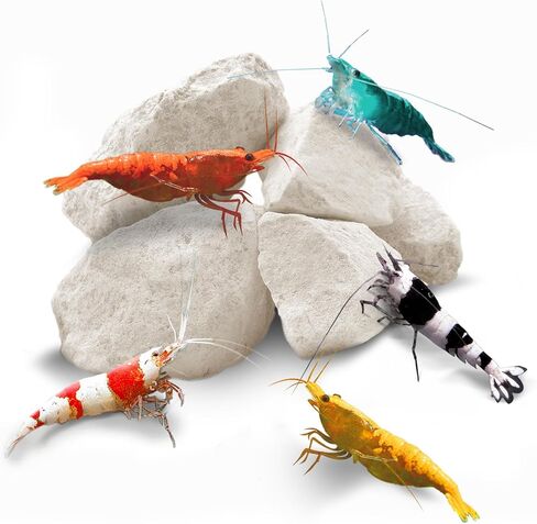 SunGrow Shrimp Rocks, for Crayfish, Hermit Crab, Snails, Crystal Red, Amano, and Ghost Shrimps (60 Grams) in Kuwait