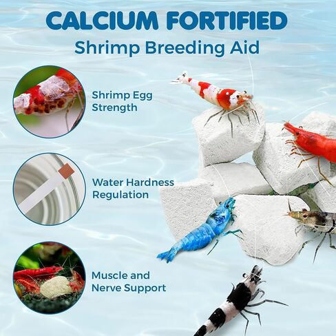 SunGrow Shrimp Rocks, for Crayfish, Hermit Crab, Snails, Crystal Red, Amano, and Ghost Shrimps (60 Grams) in Kuwait