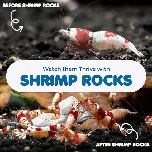 SunGrow Shrimp Rocks, for Crayfish, Hermit Crab, Snails, Crystal Red, Amano, and Ghost Shrimps (60 Grams) in Kuwait