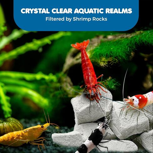 SunGrow Shrimp Rocks, for Crayfish, Hermit Crab, Snails, Crystal Red, Amano, and Ghost Shrimps (60 Grams) in Kuwait