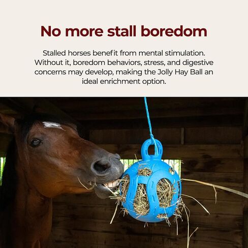 Horsemen's Pride Jolly Hay Ball Horse Stall Toy, 8 in, Blue in Saudi Arabia