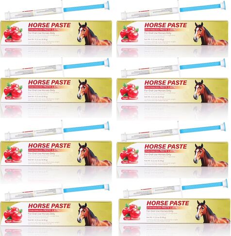 Equine Paste 1.87% | Apple Flavored – 6.08g Tube for Horses, 1-Pack in Kuwait