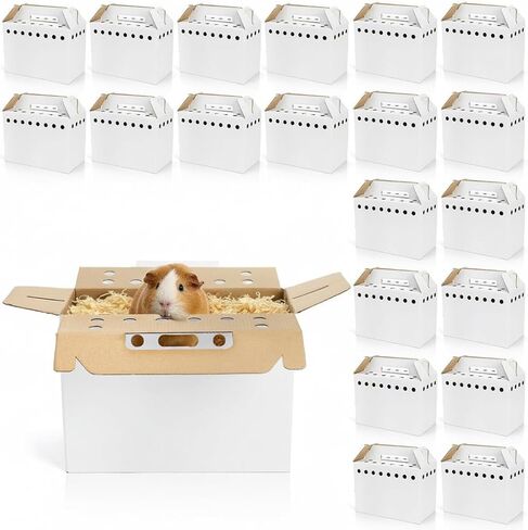 Coloch 20 Pack Cardboard Pet Carrier for Small Pets, 11x8x6 Inches Disposable Pet Transport Box for Pullets, Fowls, Hamsters, Gerbils, Reptiles, Guinea Pigs in Kuwait
