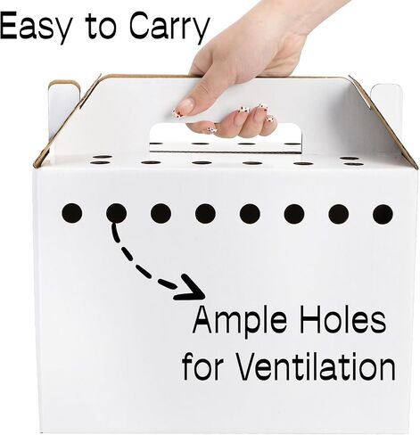 Coloch 20 Pack Cardboard Pet Carrier for Small Pets, 11x8x6 Inches Disposable Pet Transport Box for Pullets, Fowls, Hamsters, Gerbils, Reptiles, Guinea Pigs in Kuwait