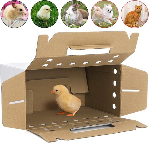 Coloch 20 Pack Cardboard Pet Carrier for Small Pets, 11x8x6 Inches Disposable Pet Transport Box for Pullets, Fowls, Hamsters, Gerbils, Reptiles, Guinea Pigs in Kuwait