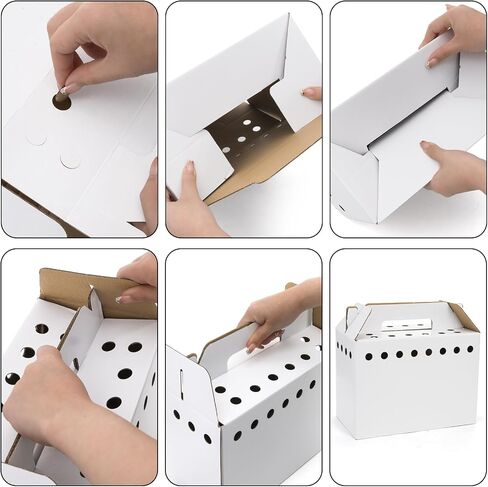 Coloch 20 Pack Cardboard Pet Carrier for Small Pets, 11x8x6 Inches Disposable Pet Transport Box for Pullets, Fowls, Hamsters, Gerbils, Reptiles, Guinea Pigs in Kuwait