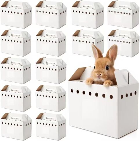 15 Pack Cardboard Pet Carrier Box for Small Pets, 11 x 8 x 6 Inch Disposable Corrugated Small Animals Travel Box with Ventilation & Handle for Chickens, Chicks, Birds, Hamsters & Reptiles in Saudi Arabia