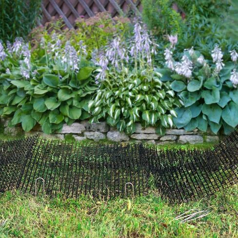 Pomeat 10 PCS Scat Mat for Cats Indoor 16" x 12" with Spikes Sprickle, Digging Deterrent for Dogs, Outdoor for Garden and Fence with 7 Staples in Kuwait