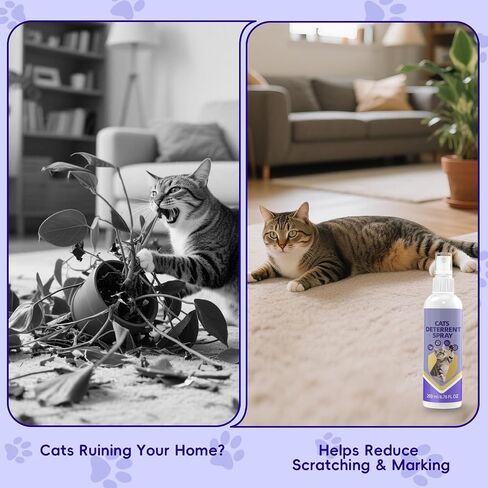 KTSAY Cat Deterrent Spray - Effective Repellent Spray for Furniture Protection, Safe Natural Indoor & Outdoor Training Aid to Stop Scratching & Urine Marking (1) in Saudi Arabia