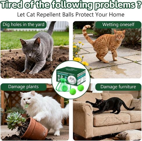 Cat Repellent Outdoor to Keep Cats Away 12Pack (Green) in Kuwait