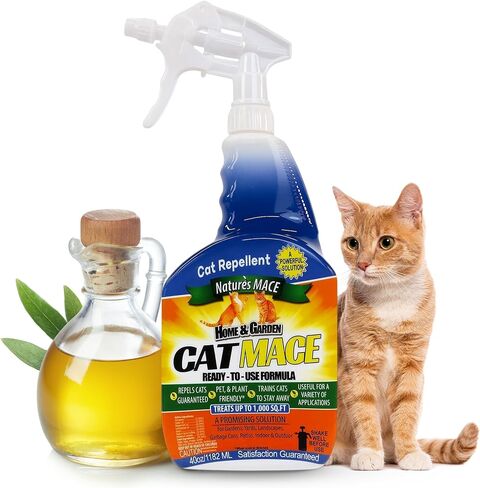 Nature's Mace Cat Mace Cat Repellent 40 oz Spray in Kuwait