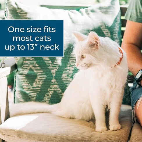 Wondercide Cat Collar - Flea & Tick Repellent - Up to 4 Months Protection in Kuwait