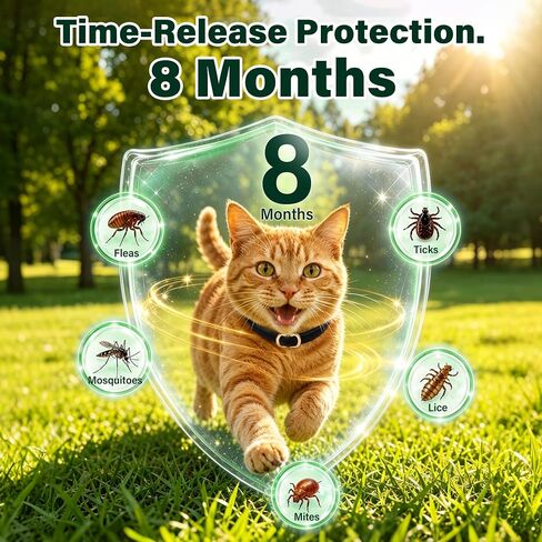 6 Packs Flea and Tick Collar for Cats in Saudi Arabia