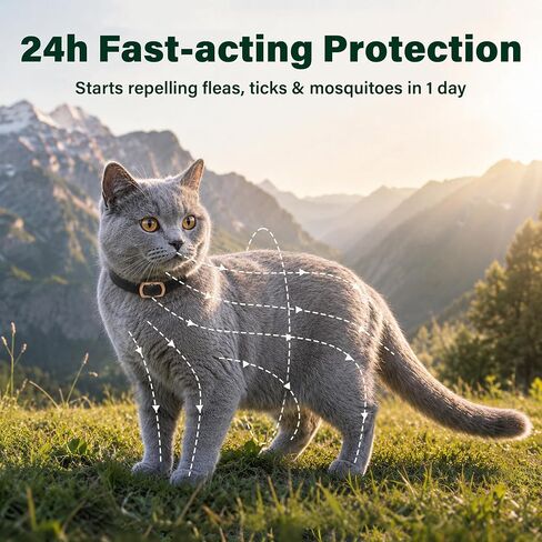 6 Packs Flea and Tick Collar for Cats in Saudi Arabia