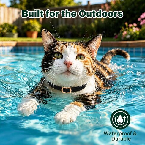 6 Packs Flea and Tick Collar for Cats in Saudi Arabia