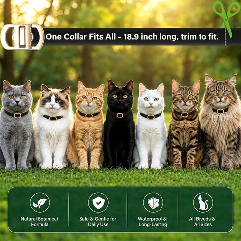 6 Packs Flea and Tick Collar for Cats in Saudi Arabia