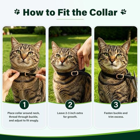 6 Packs Flea and Tick Collar for Cats in Saudi Arabia