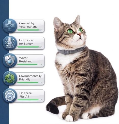 Flea and Tick Collar for Cats - Offers 12-Month Protection, Crafted with Premium Plant Oils, Waterproof, Natural, Safe for Kittens, Includes Free Comb and Tweezers, 13.8 in (2 Packs) in Kuwait