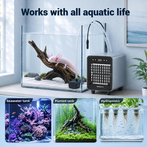 AQUASMITH Mini Aquarium Chiller Semiconductor Cooler & Heater in Saudi Arabia