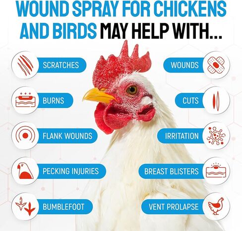 SILVER GRADE Wound Spray for Chicken – Birds & Chicken Antibiotics Alternative to Help with Pecking Sores, Bumblefoot, Cuts – Poultry Spray with Silver – GMOs Free – 4-Oz Bottle in Saudi Arabia