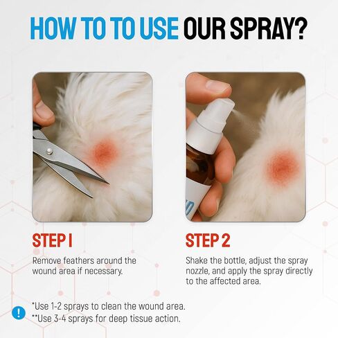 SILVER GRADE Wound Spray for Chicken – Birds & Chicken Antibiotics Alternative to Help with Pecking Sores, Bumblefoot, Cuts – Poultry Spray with Silver – GMOs Free – 4-Oz Bottle in Saudi Arabia